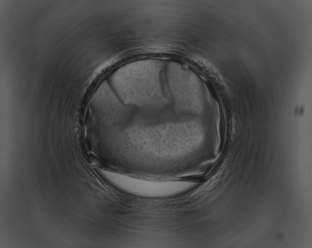 X0000095531210200801041238