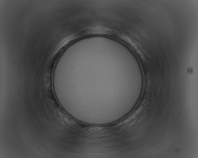 X0000095531211200801041238