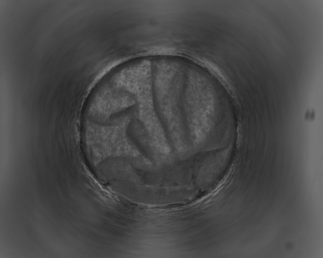 X0000095531212200801041238