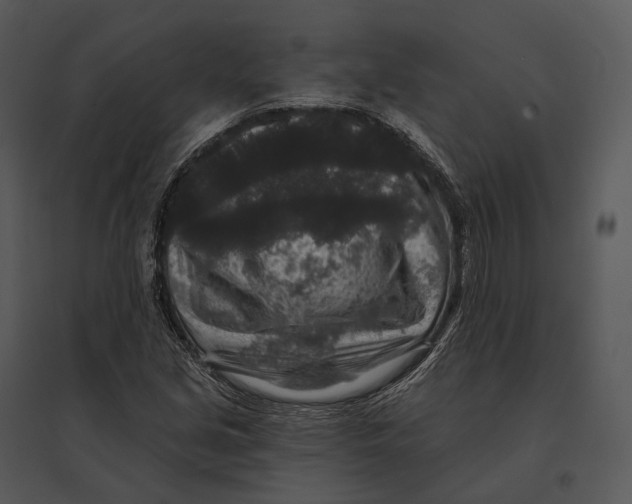 X0000095531213200801041238