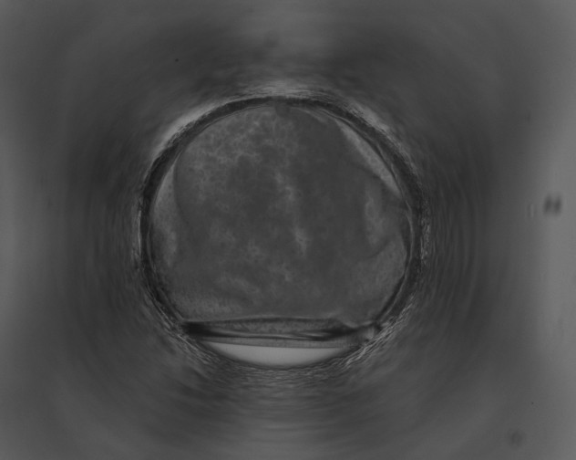 X0000095531214200801041238