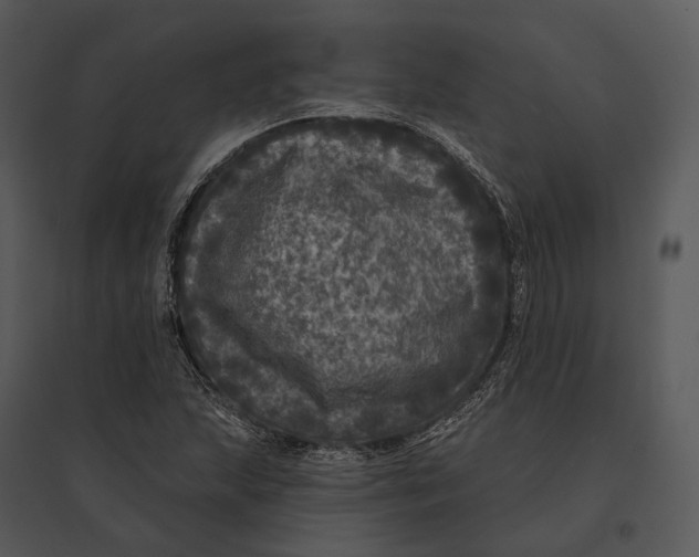 X0000095531215200801041238