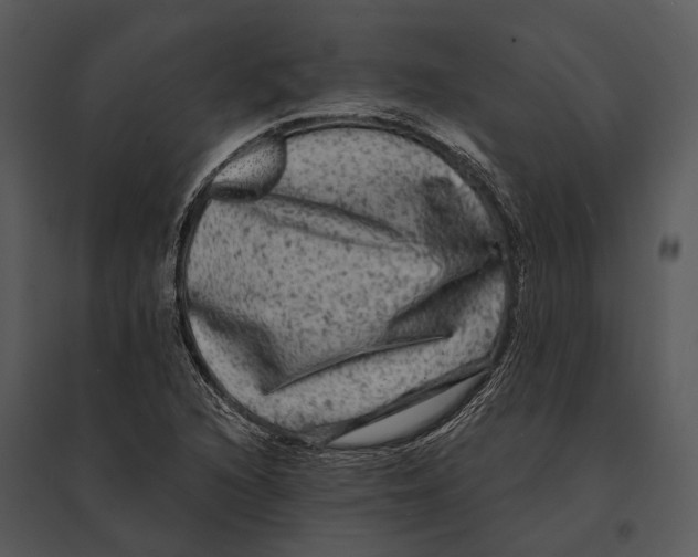 X0000095531216200801041238