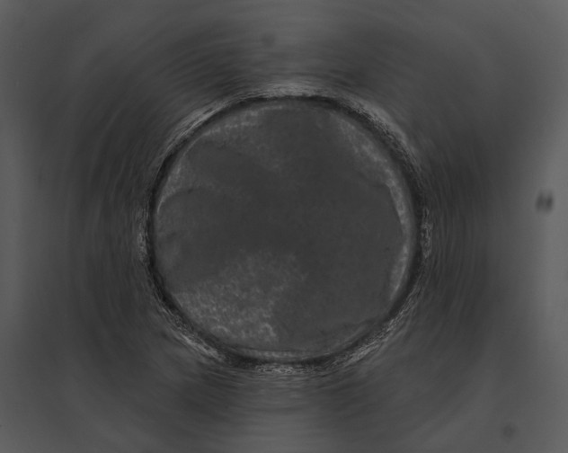 X0000095531217200801041238