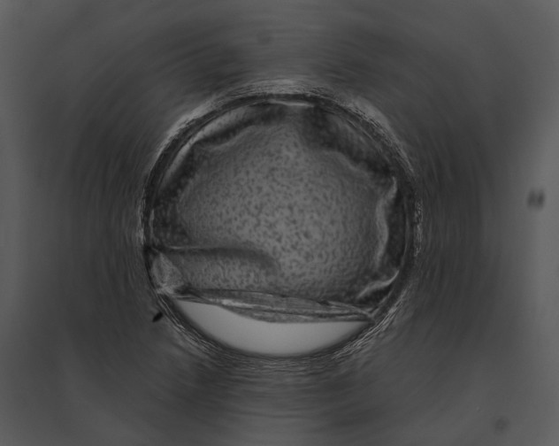 X0000095531218200801041238