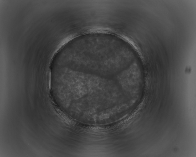 X0000095531219200801041238