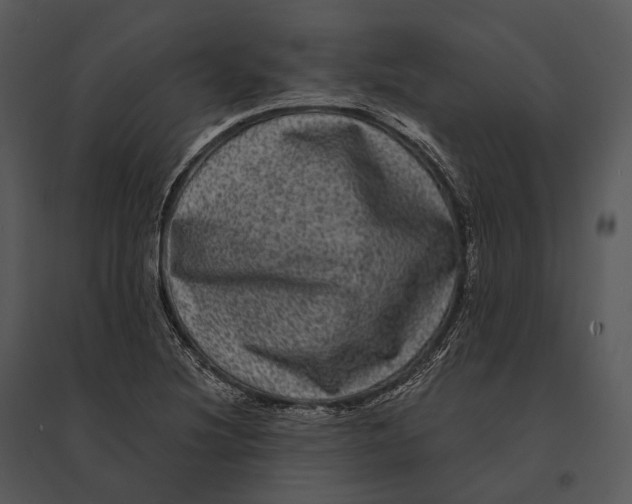 X0000095531220200801041238