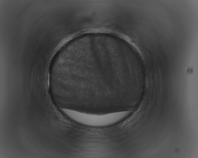 X0000095531221200801041238