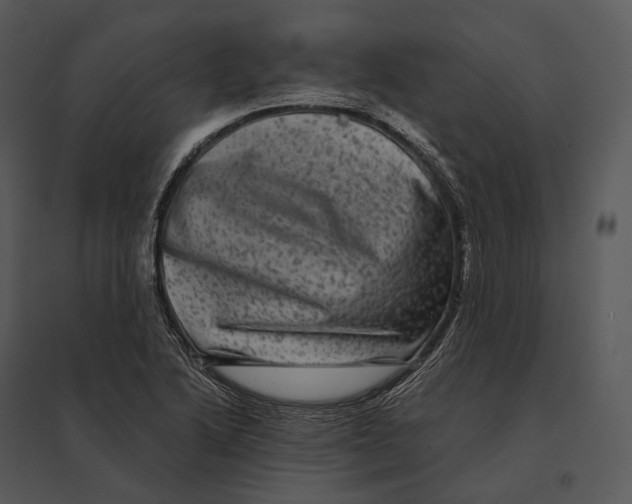 X0000095531222200801041238