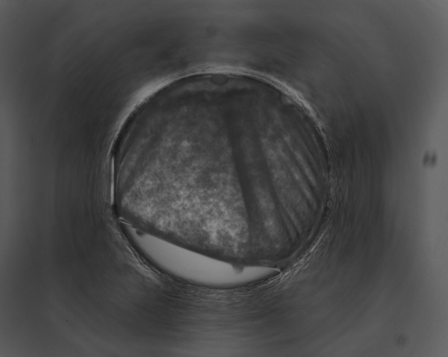 X0000095531223200801041238