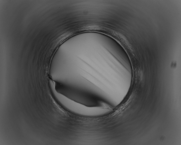 X0000095531225200801041238