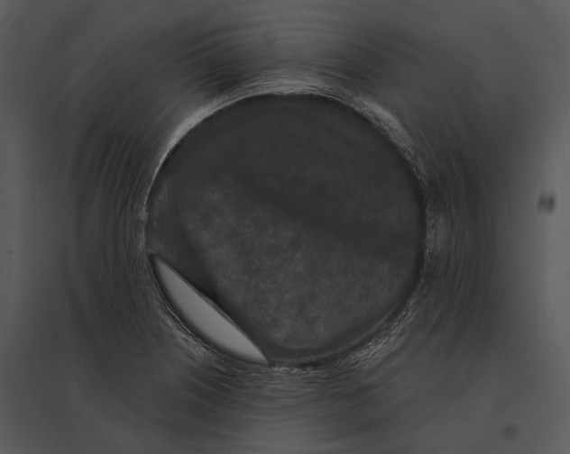 X0000095531226200801041238