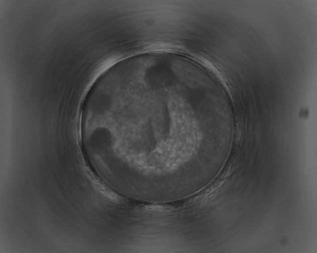 X0000095531227200801041238