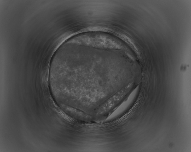 X0000095531228200801041238