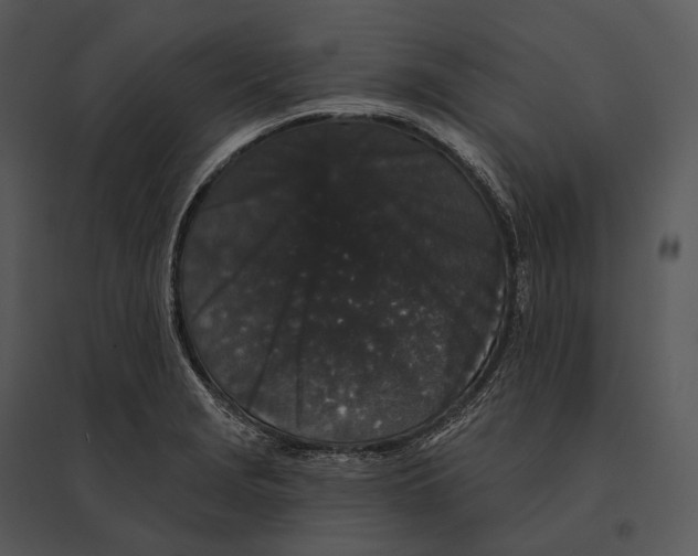 X0000095531229200801041238