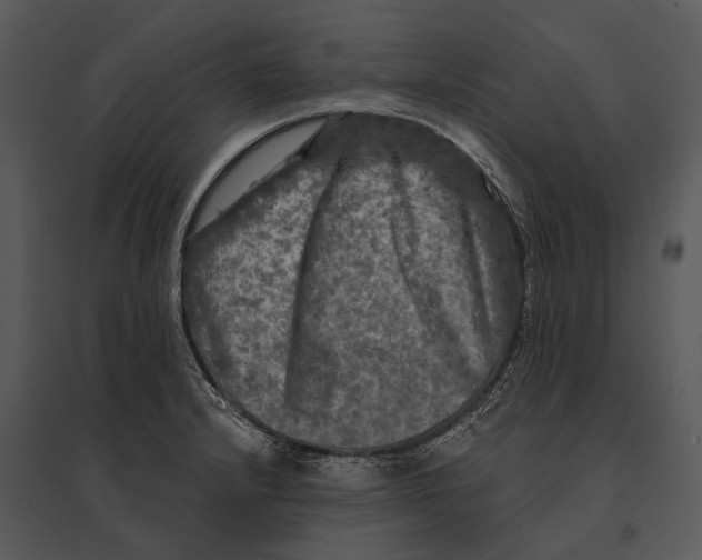 X0000095531232200801041238