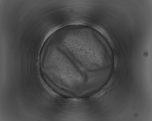 X0000095531234200801041238