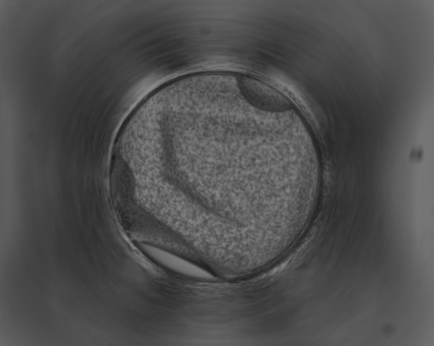 X0000095531236200801041238