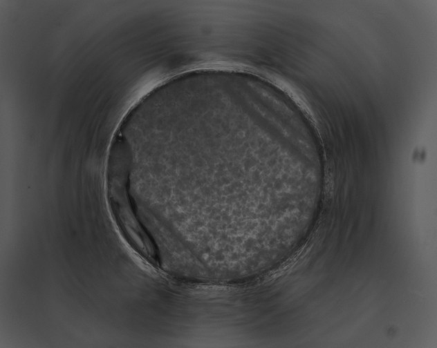 X0000095531237200801041238