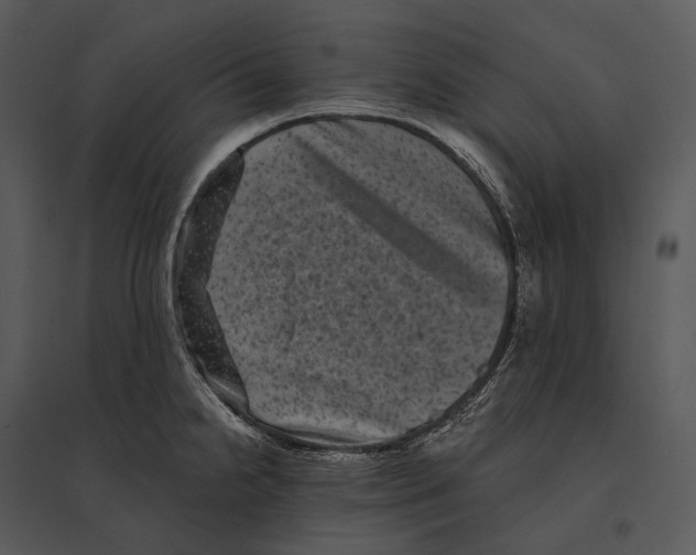 X0000095531238200801041238