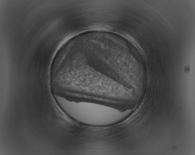 X0000095531240200801041238