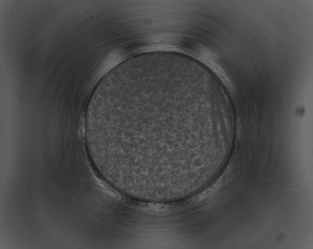 X0000095531241200801041238