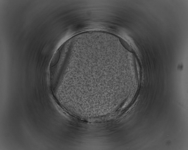 X0000095531242200801041238