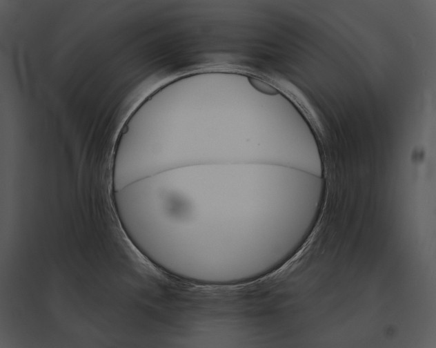 X0000095531244200801041238