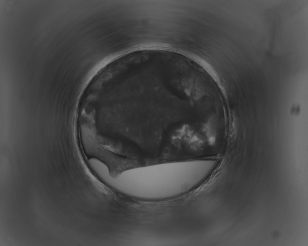 X0000095531245200801041238