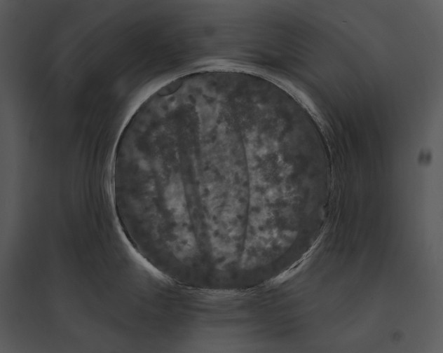 X0000095531247200801041238