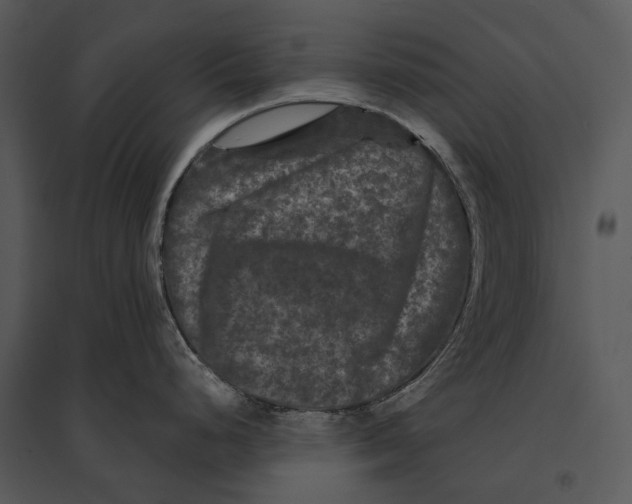 X0000095531248200801041238