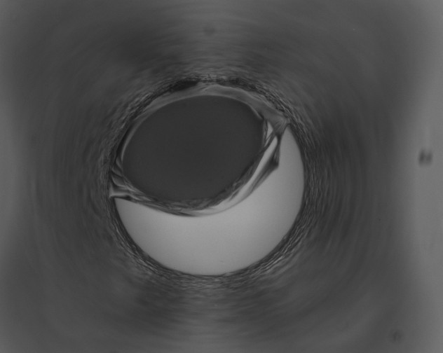 X0000095531249200801041238