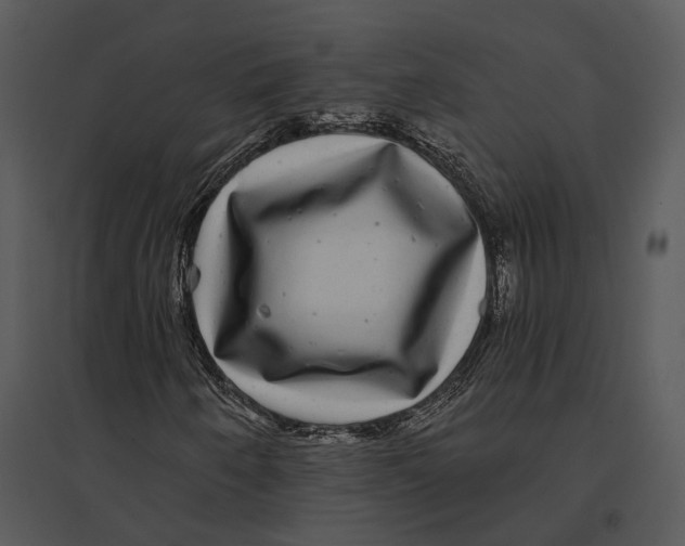 X0000095531250200801041238