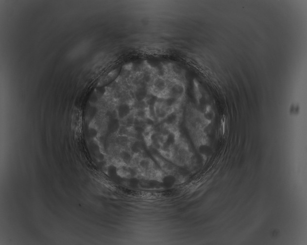 X0000095531251200801041238