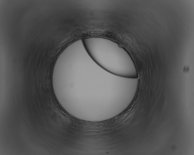 X0000095531252200801041238