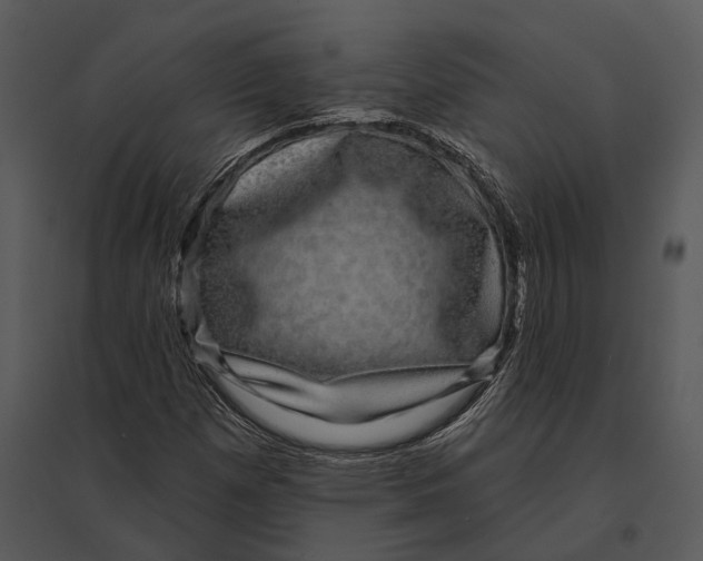 X0000095531257200801041238