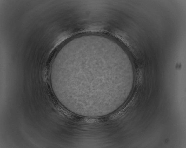 X0000095531258200801041238