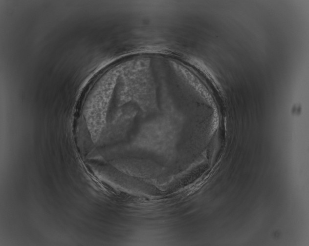 X0000095531260200801041238