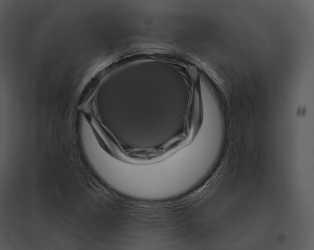 X0000095531261200801041237