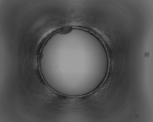 X0000095531262200801041237