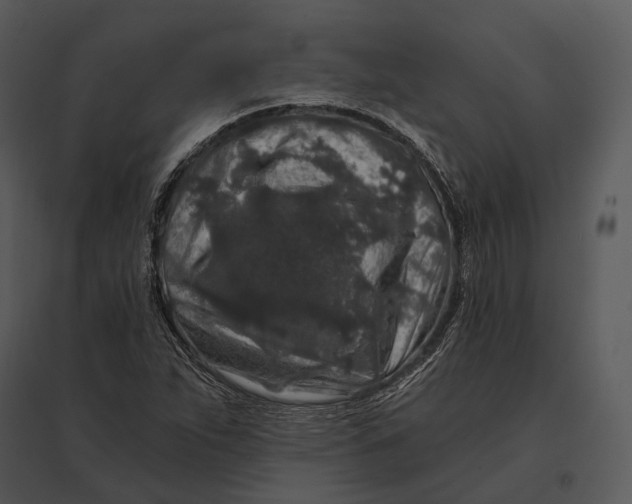 X0000095531263200801041237