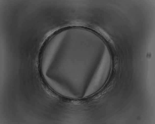 X0000095531264200801041237