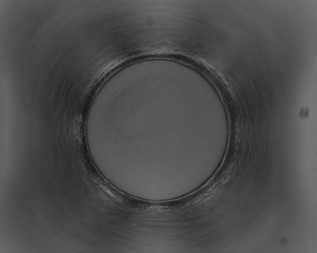 X0000095531265200801041237