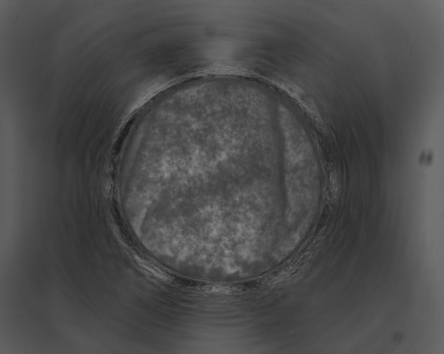 X0000095531266200801041237