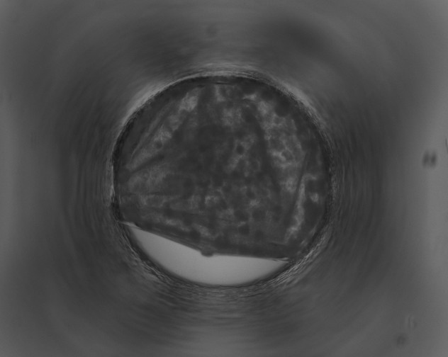 X0000095531267200801041237