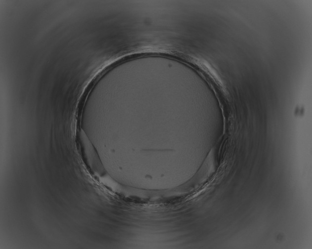 X0000095531268200801041237