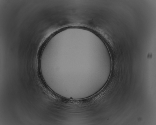 X0000095531270200801041237