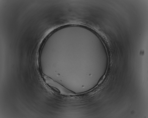 X0000095531272200801041237