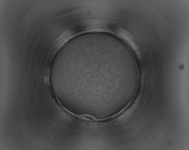 X0000095531273200801041237