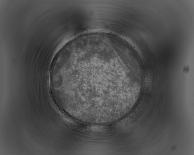 X0000095531274200801041237